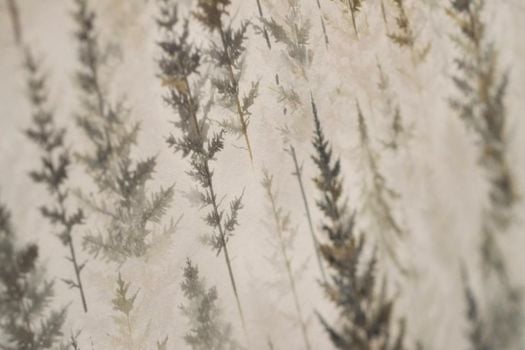 Gran Baita Hotel & Wellness