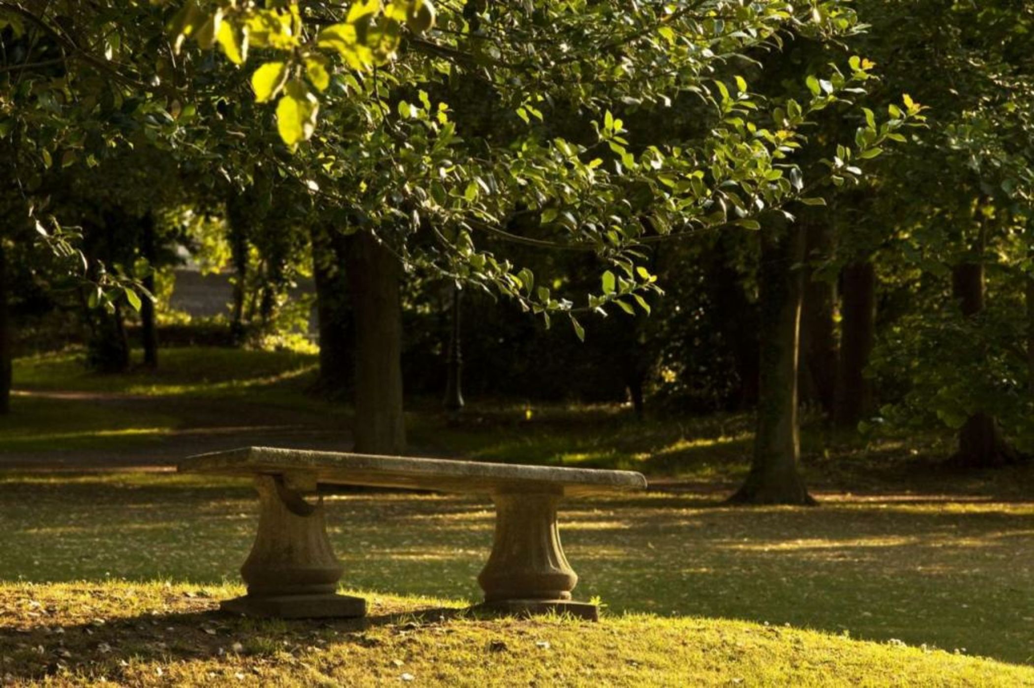 La Chartreuse Du Val Saint Esprit