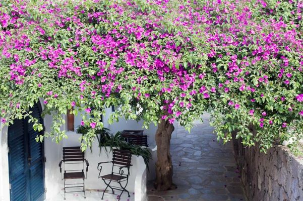 Quartara Boutique Hotel