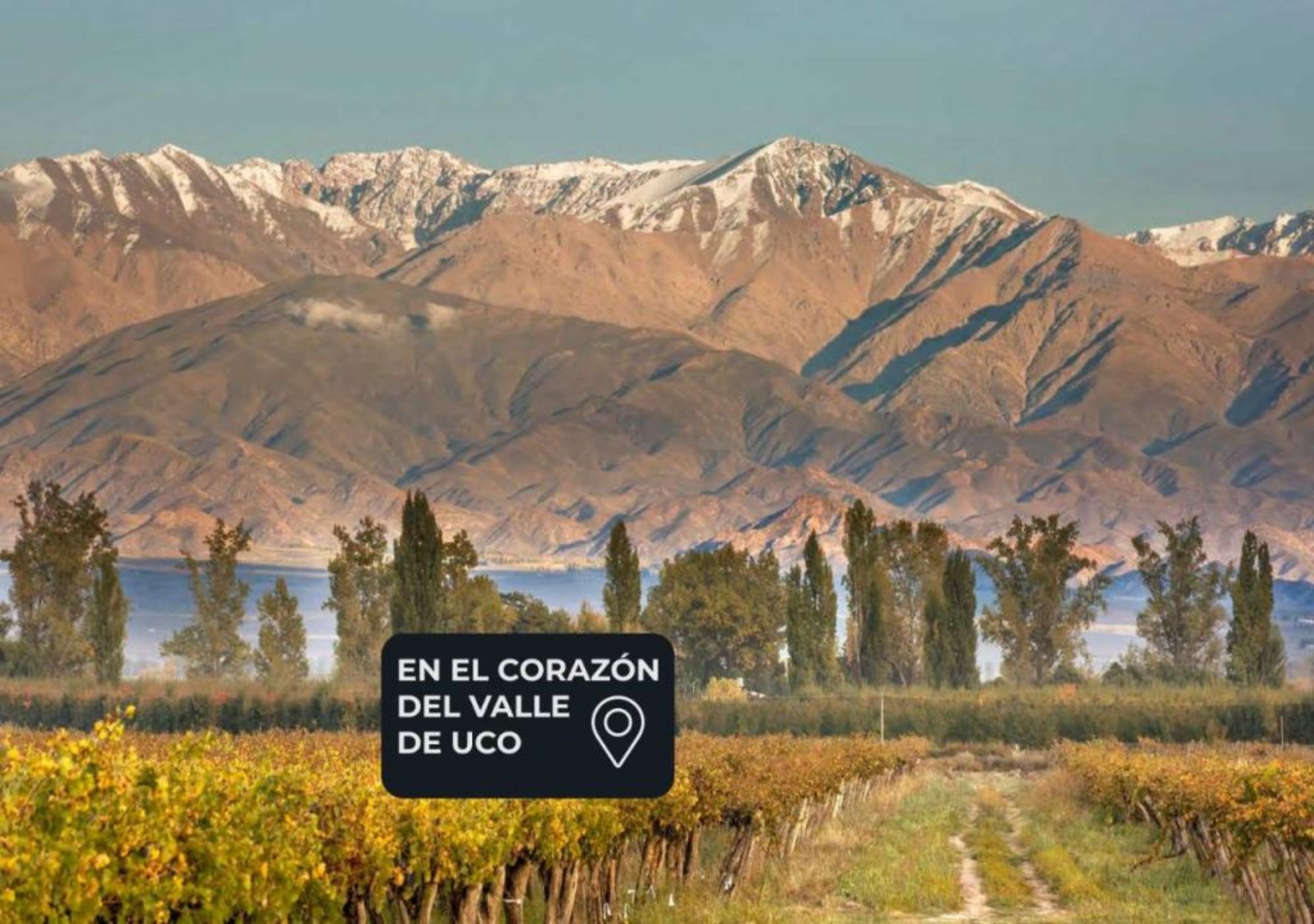 Postales by DOT Boutique