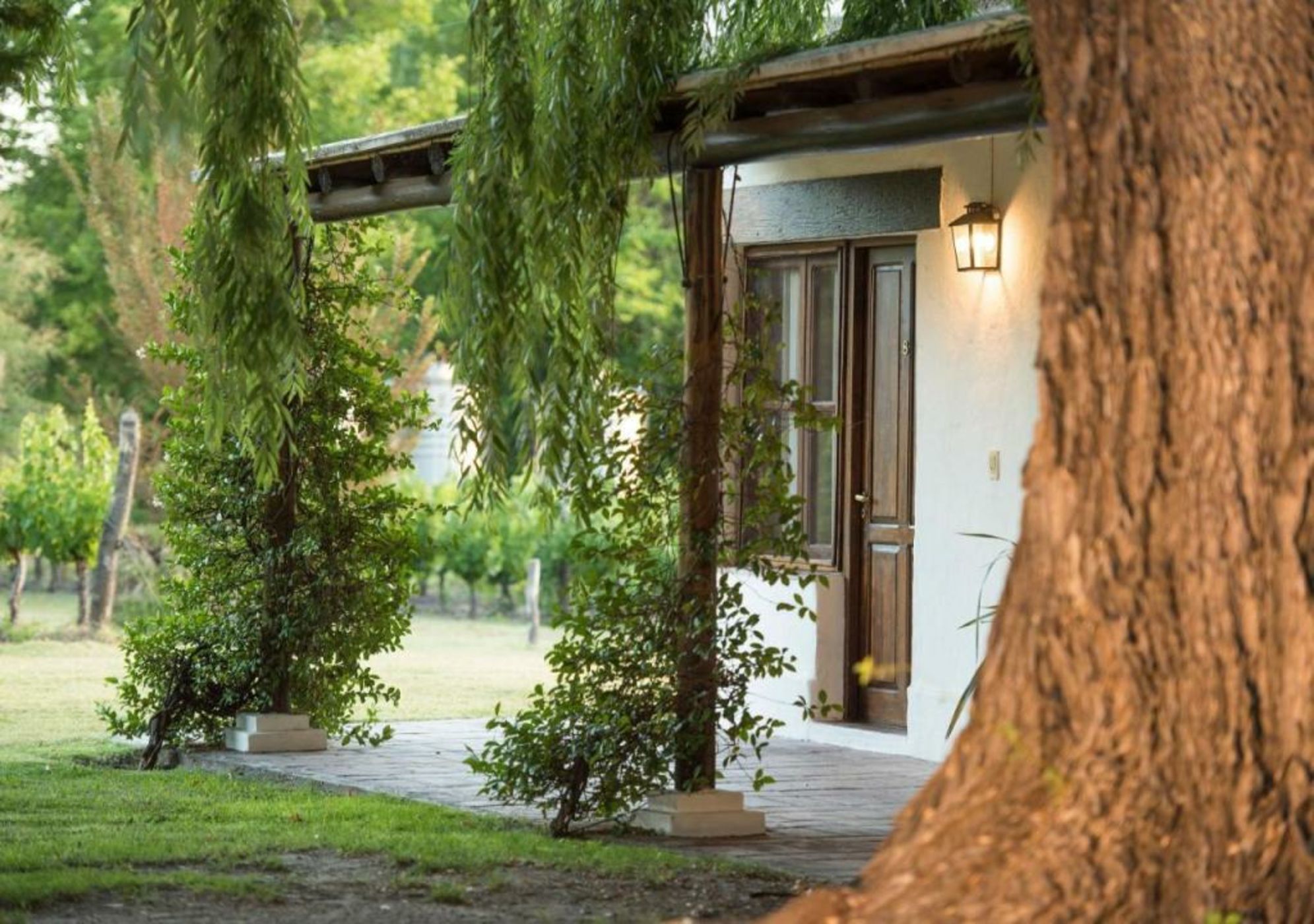 Postales by DOT Boutique