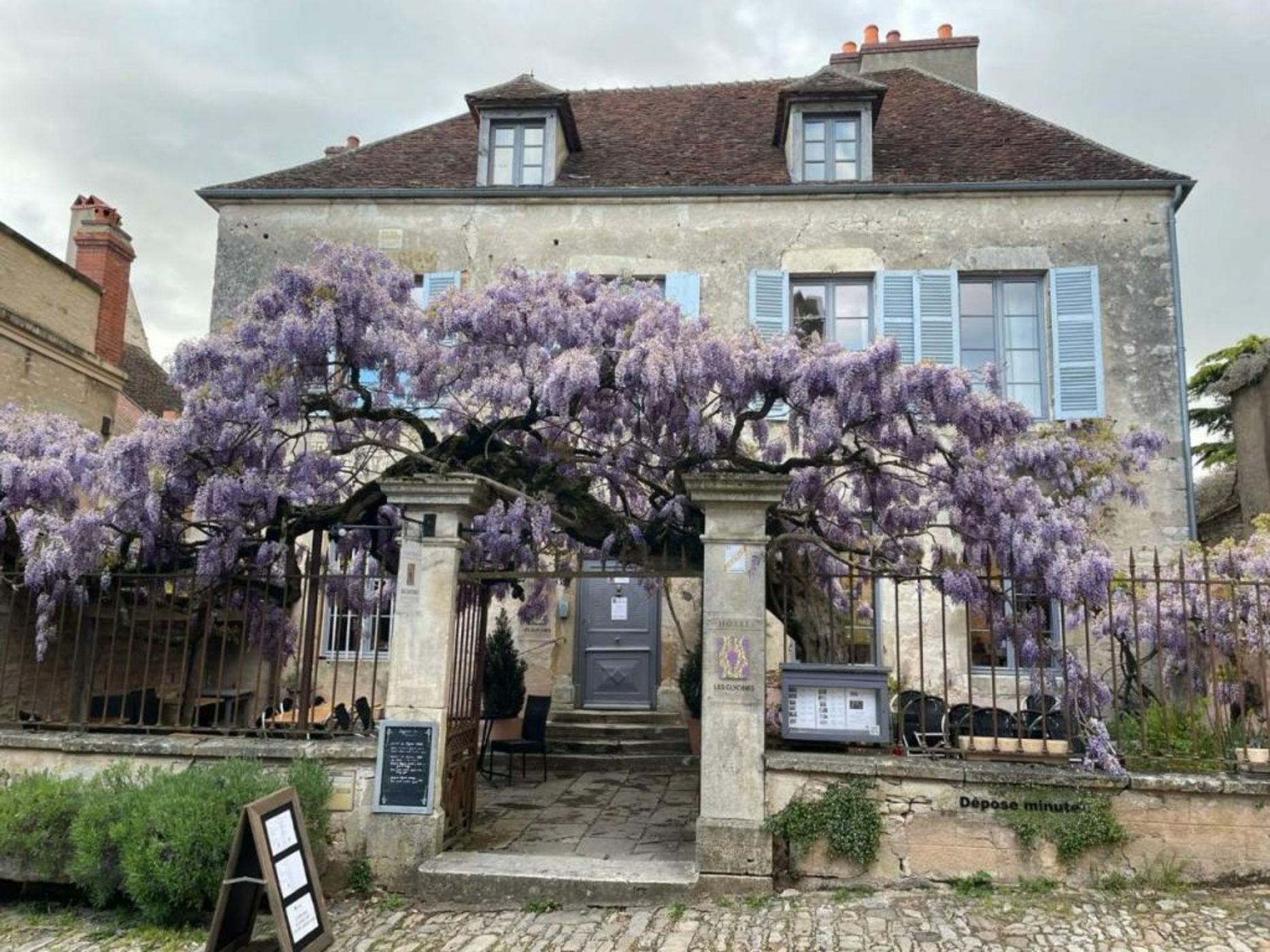 Les Glycines Vézelay