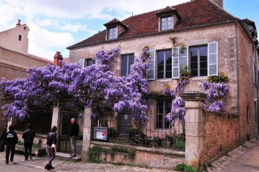 Les Glycines Vézelay