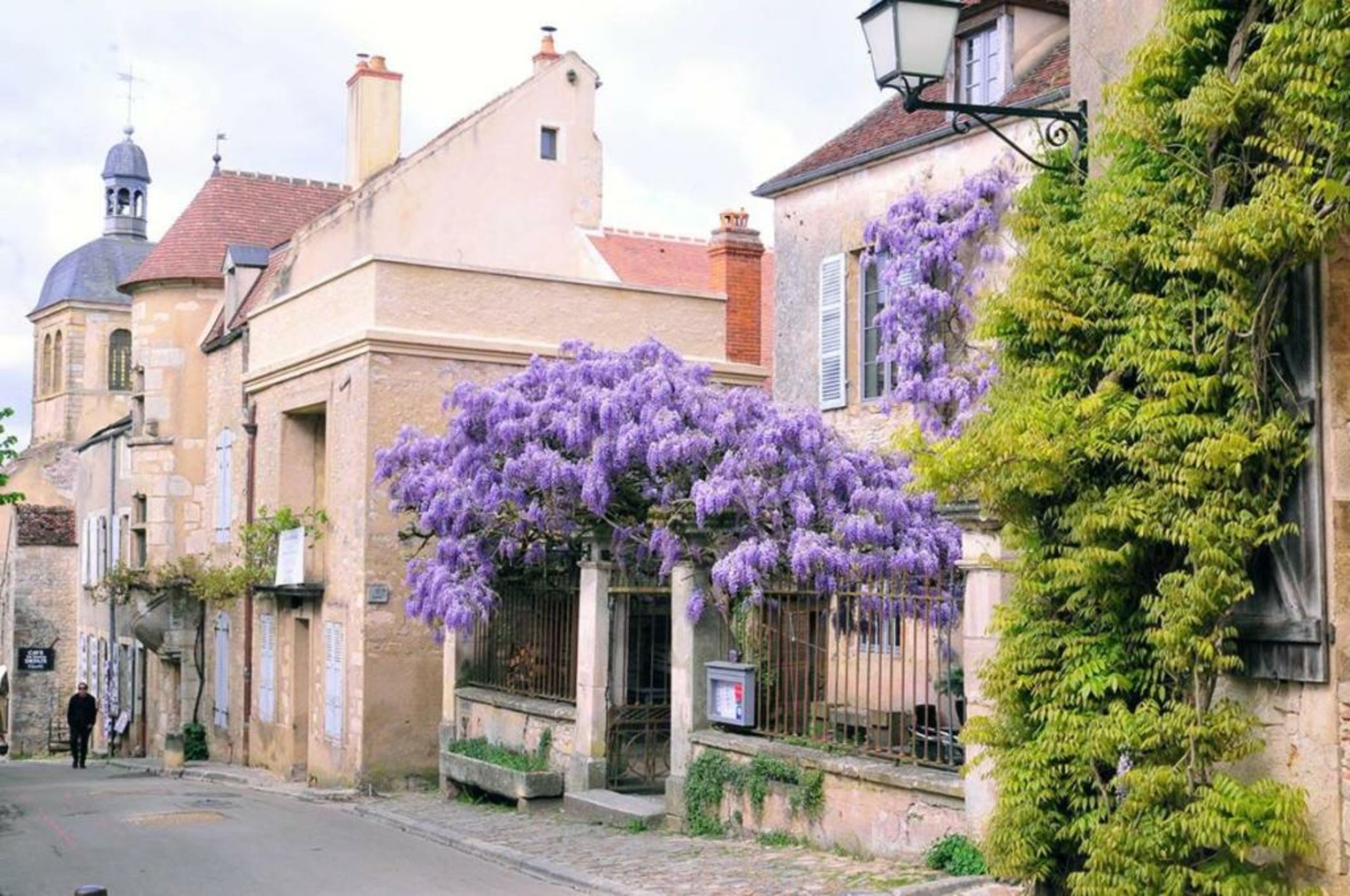 Les Glycines Vézelay