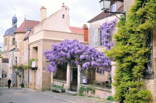Les Glycines Vézelay