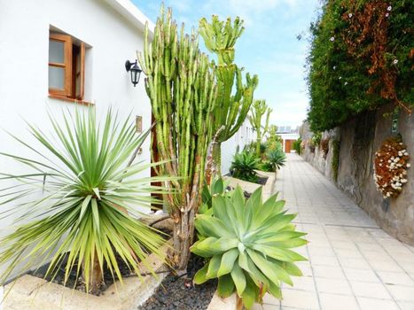 Hotel Rural El Navío - Adults Only