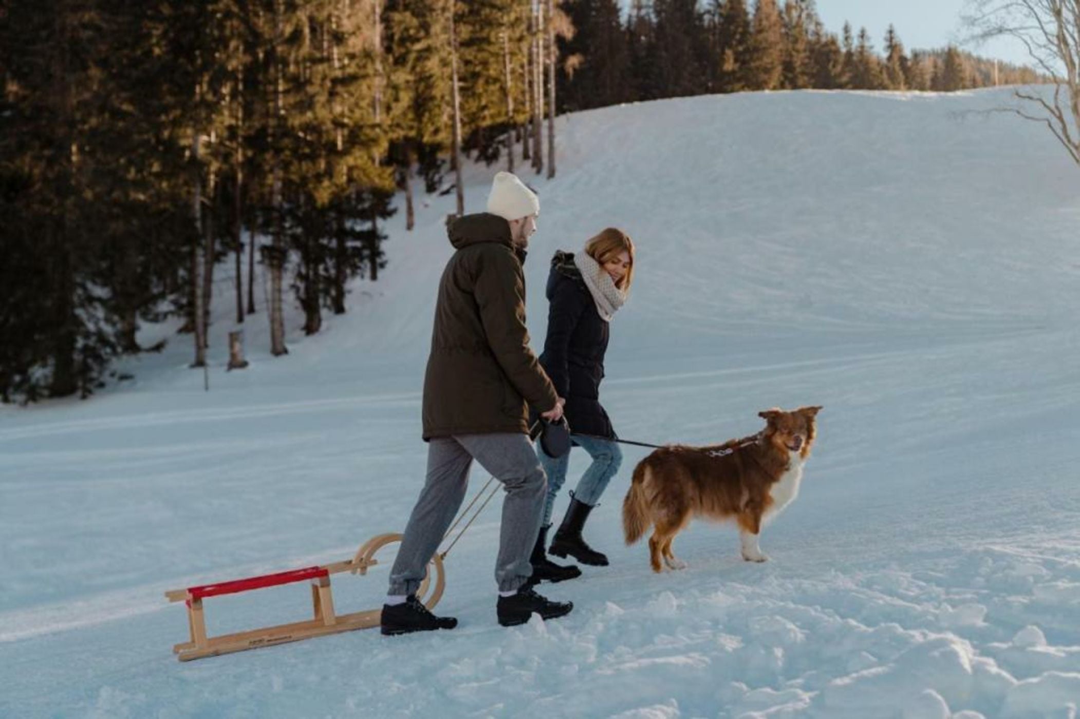 Natur- und Wellnesshotel Höflehner