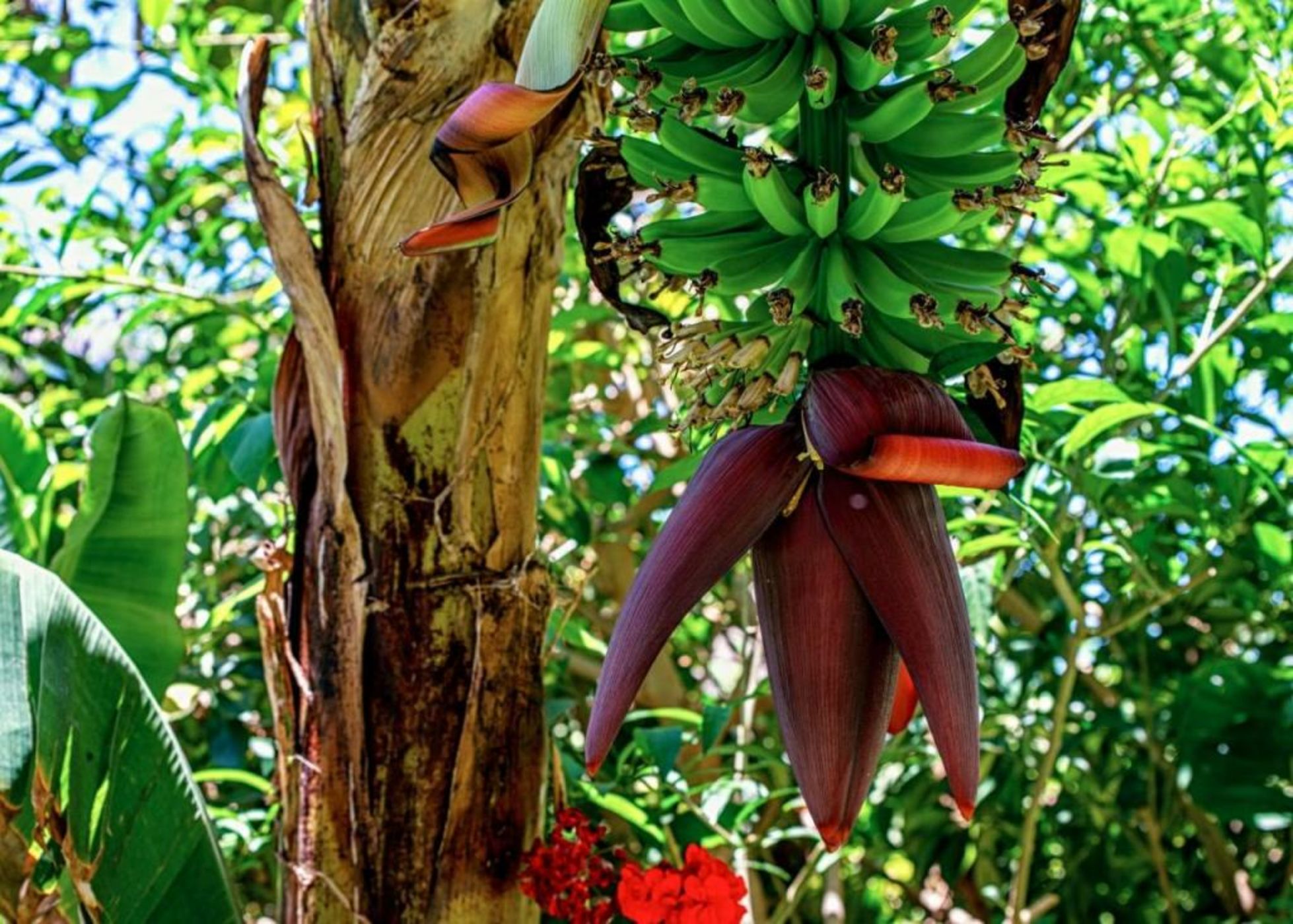 Hotel Emblemático San Marcos