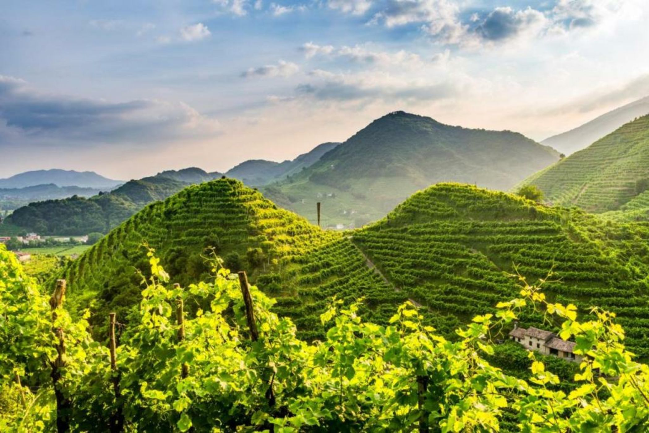 Charming Hotel dei Chiostri