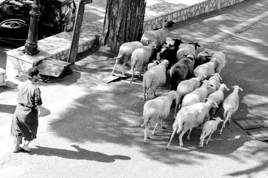 Zefiros Traditional Hotel