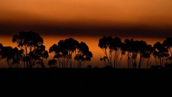 Hotel California Road at Inkwell Wines