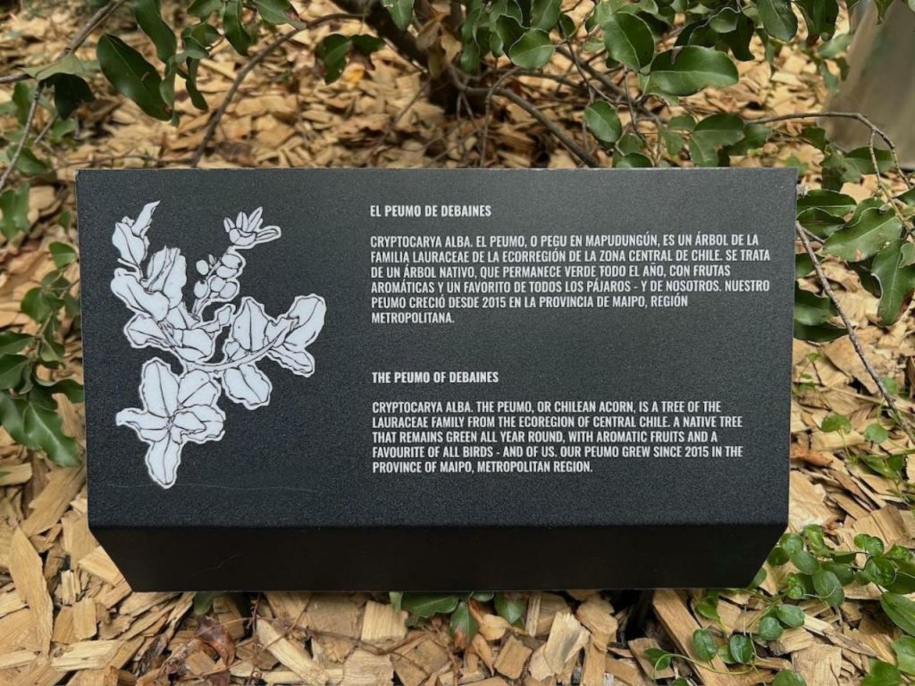 Debaines Hotel Santiago