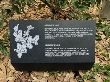 Debaines Hotel Santiago