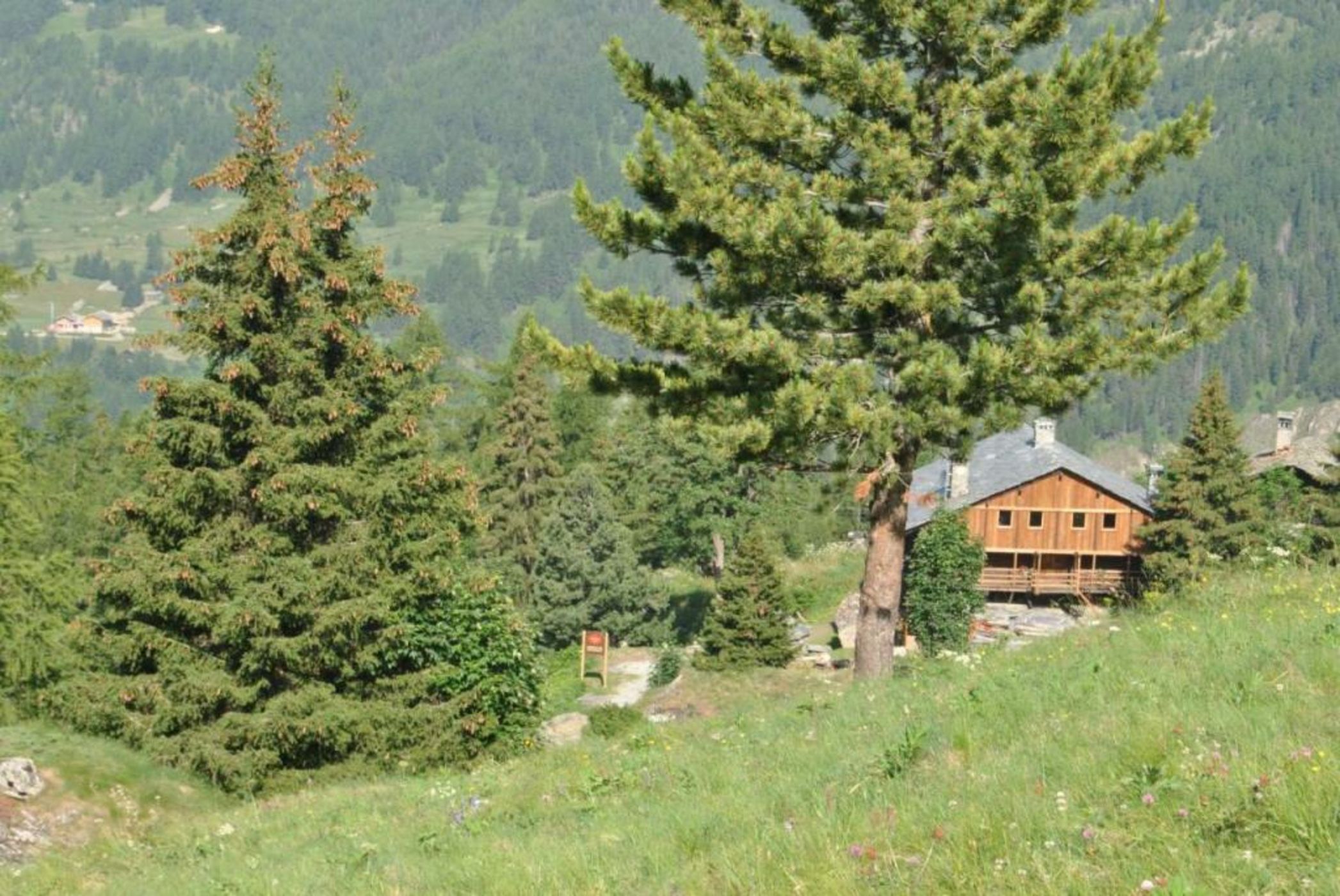 Frantze, Le Rascard 1721