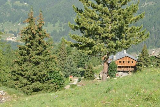 Frantze, Le Rascard 1721