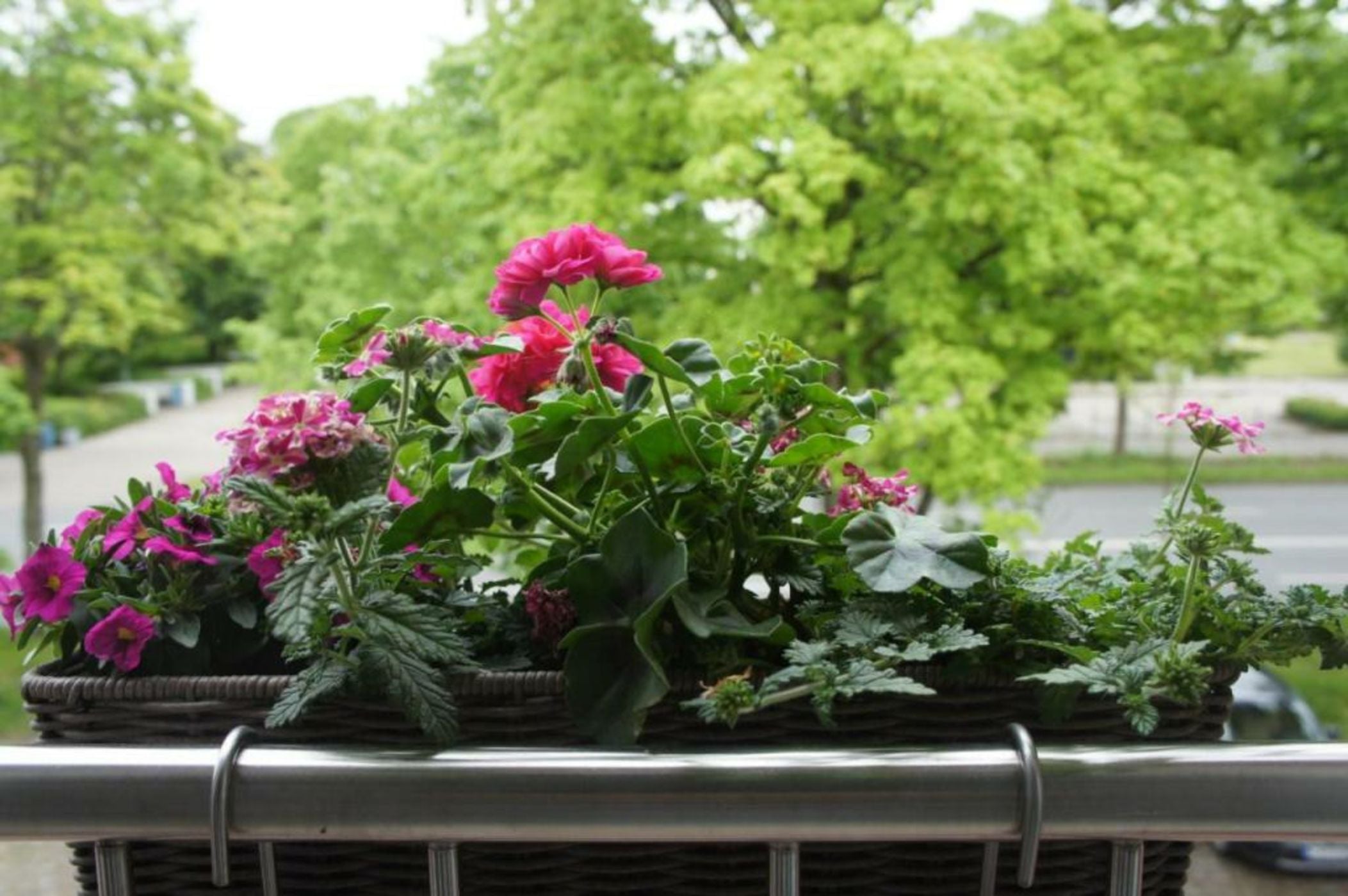 Designhotel 1690 & Apartments