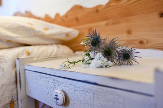 Hotel de Moiry Supérieur