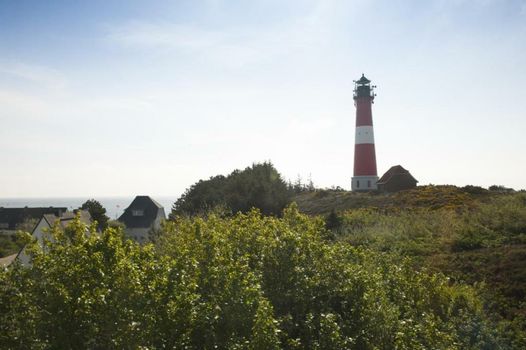 ApartHotel Seepferdchen