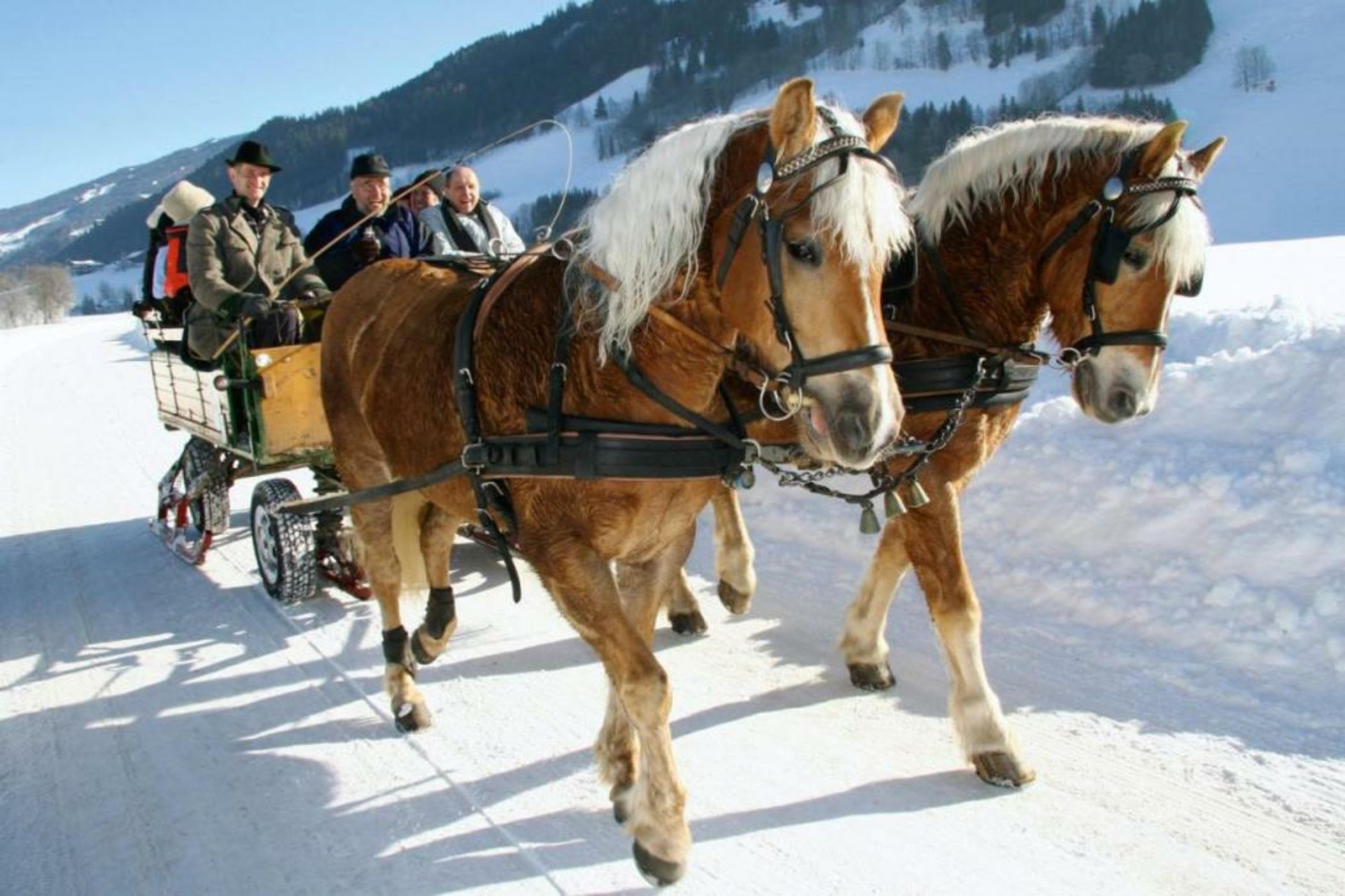 Aparthotel Schloss Thannegg