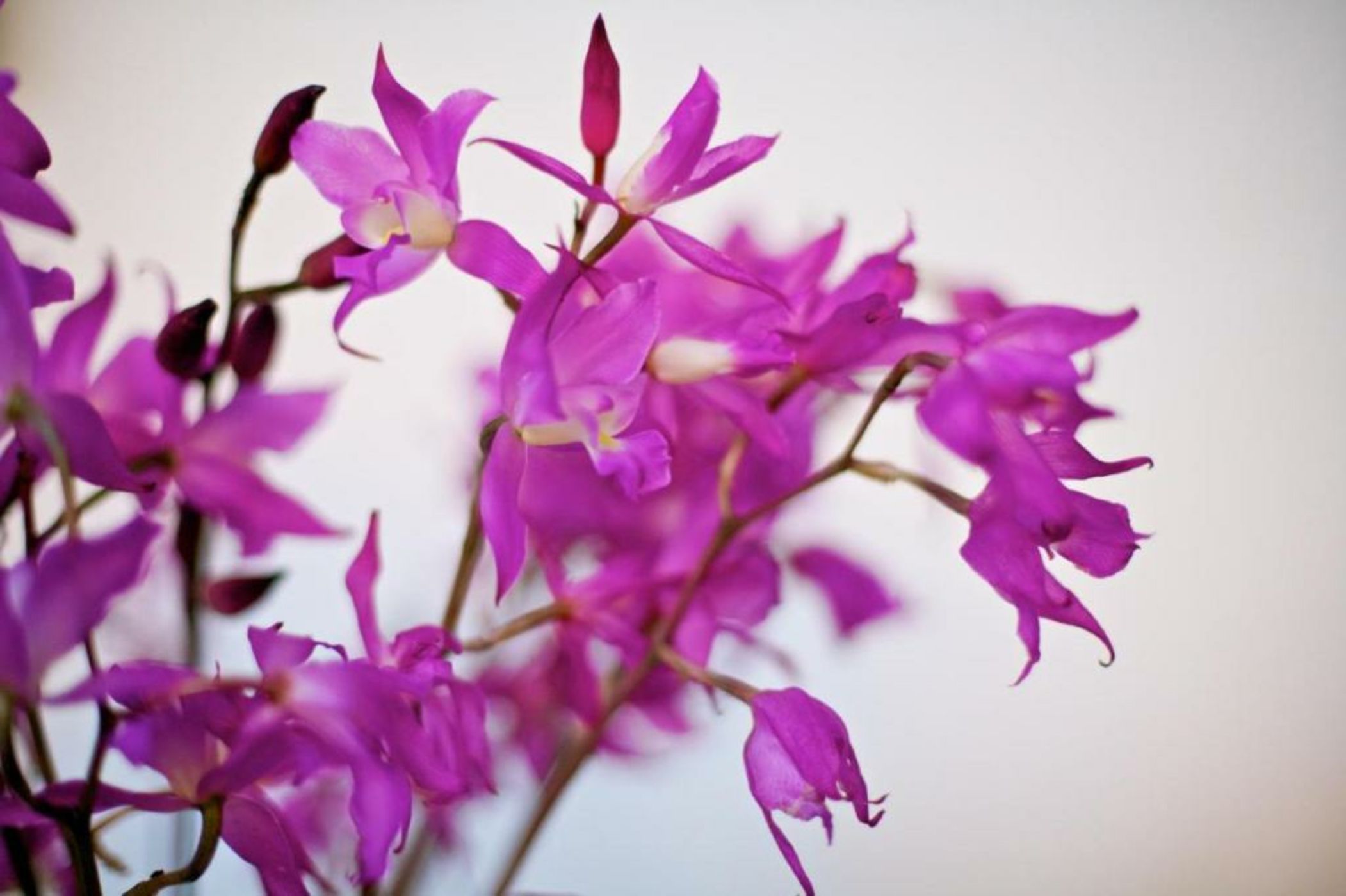 Casa de la Real Aduana Boutique Hotel