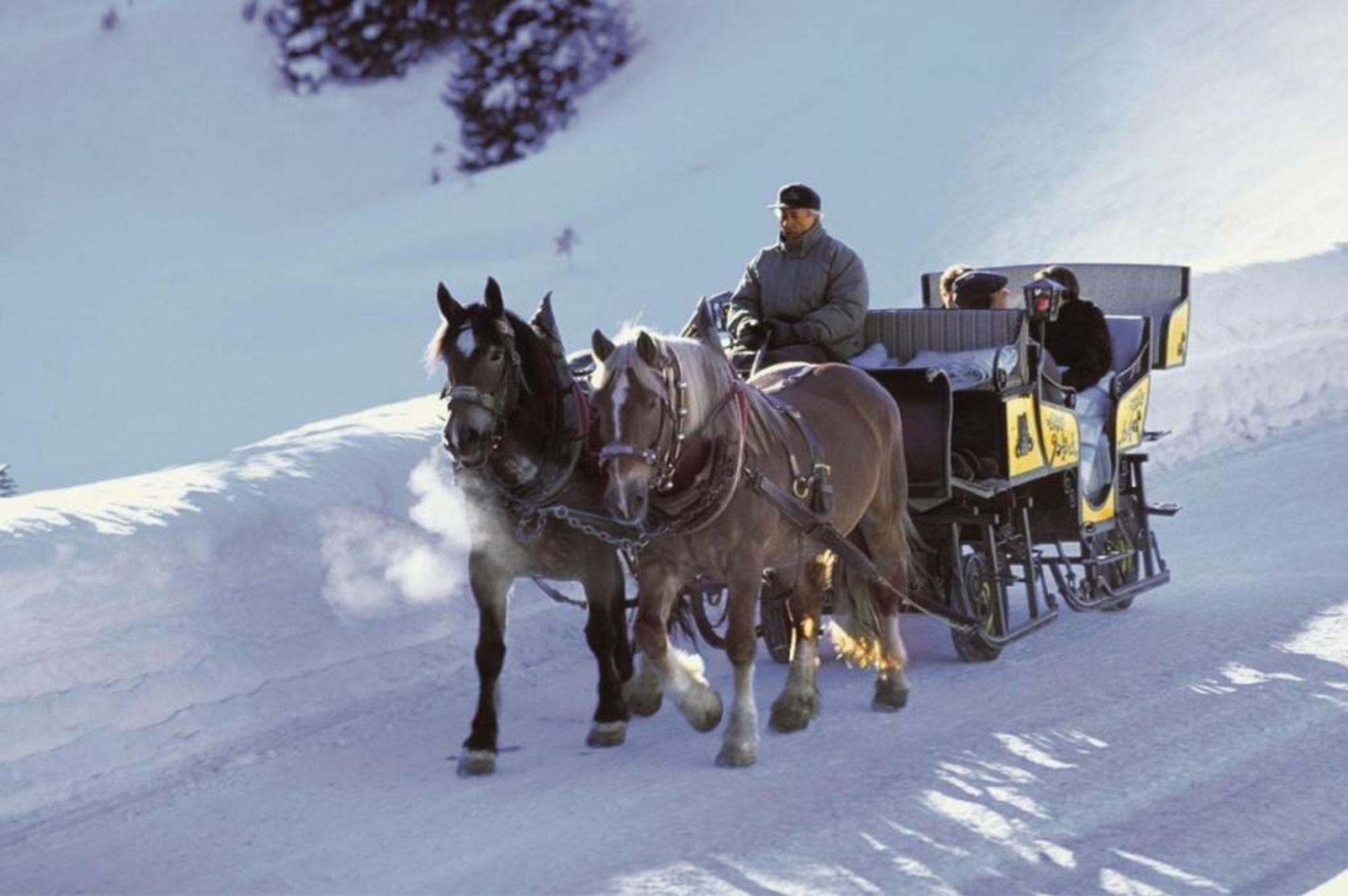 Fernsicht Alpen-Apartments