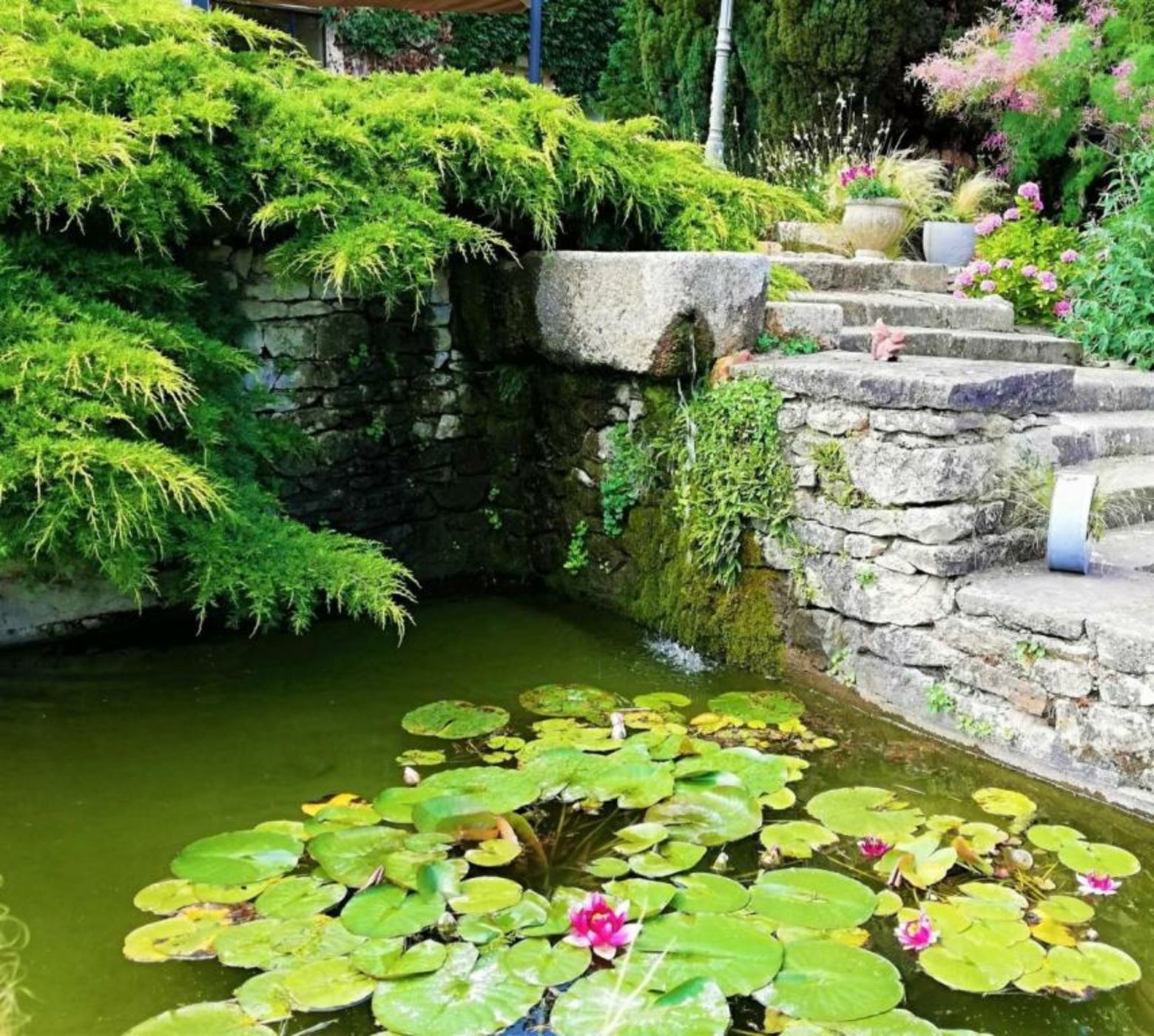 Hôtel-Restaurant Ricordeau