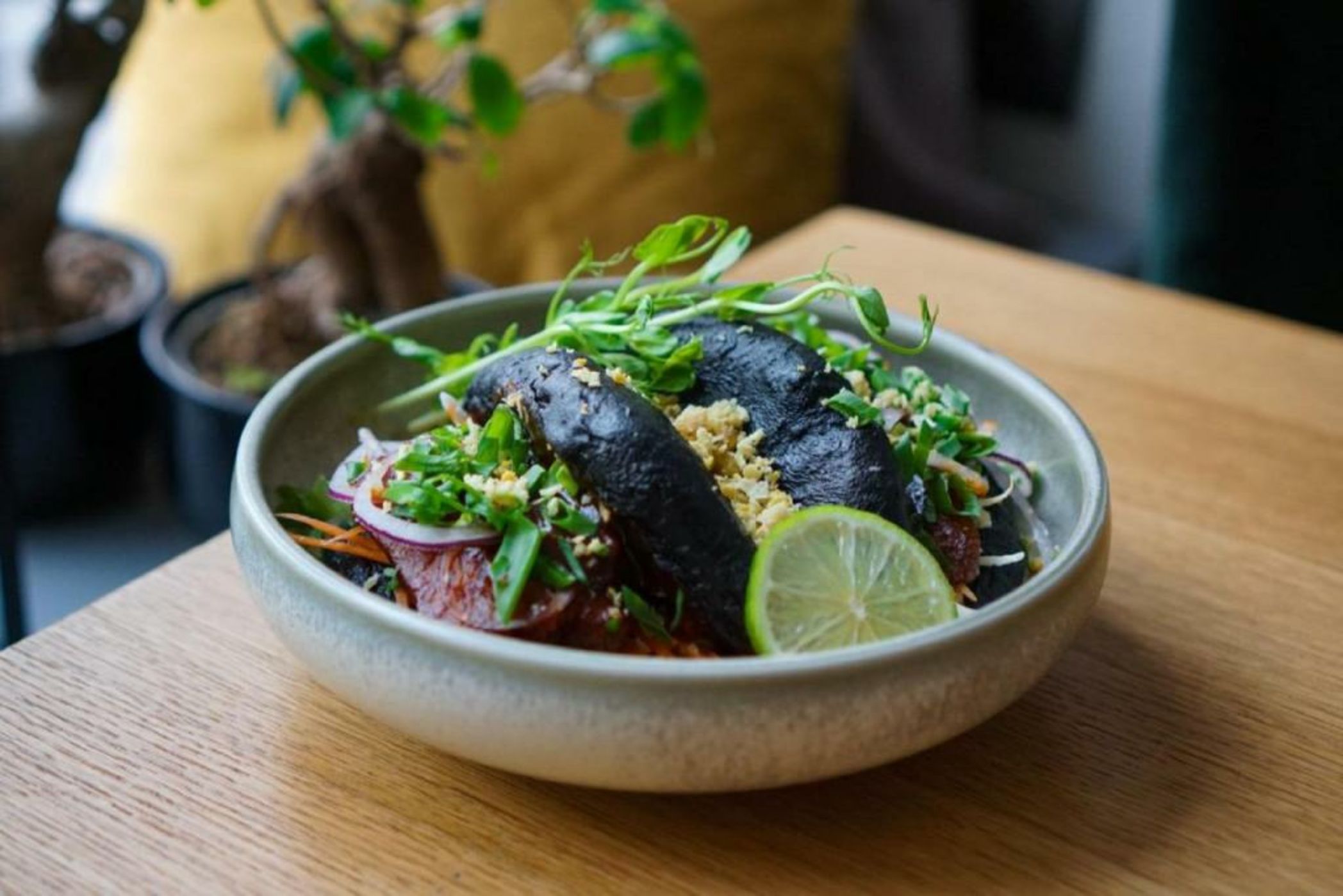 Śródka Boutique Hotel