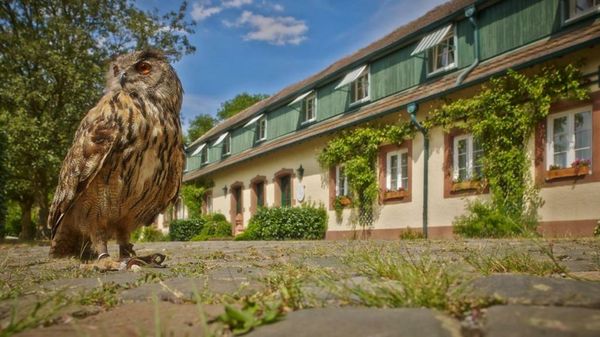 Der Linslerhof - Hotel, Restaurant, Events & Natur