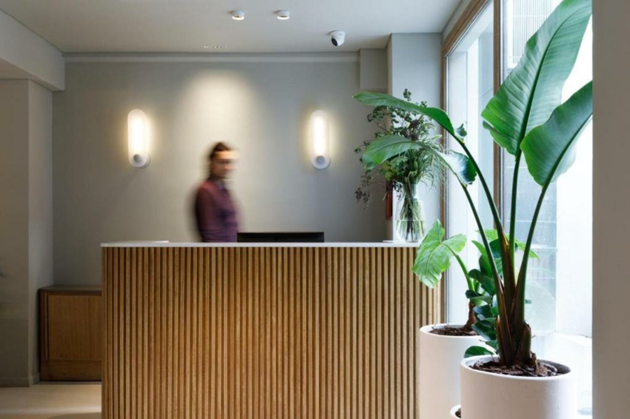 Bromelia Hotel Boutique