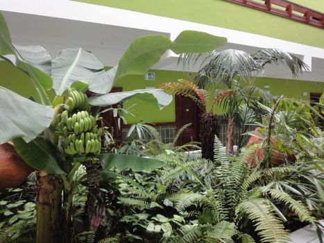 Balneario Pozo de la Salud