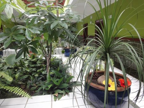 Balneario Pozo de la Salud