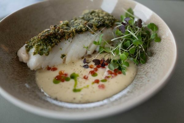 Boutique Hotel Blendin Bloemendaal aan Zee