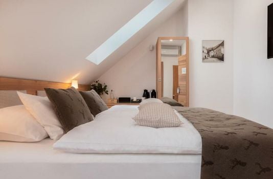 Boutique Skipass Superior Hotel