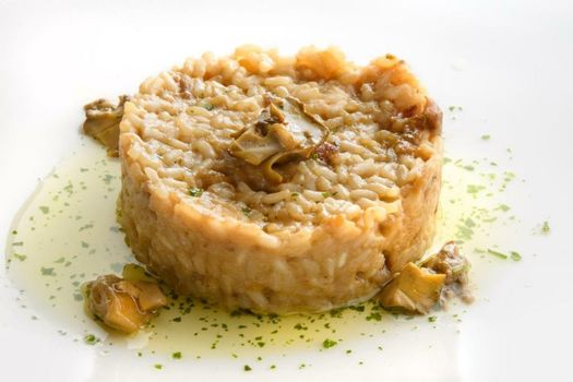 Hotel Rural Iribarnia