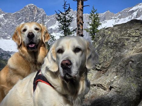 Almfrieden Hotel & Romantikchalet