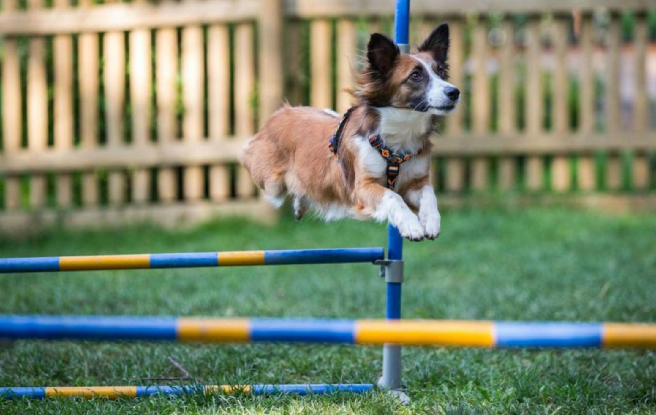 Almfrieden Hotel & Romantikchalet