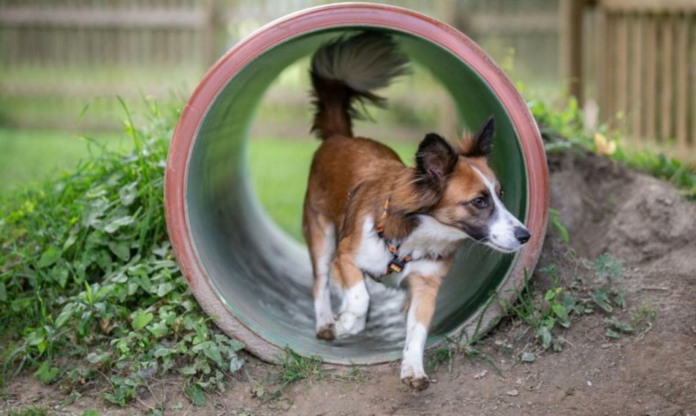 Almfrieden Hotel & Romantikchalet