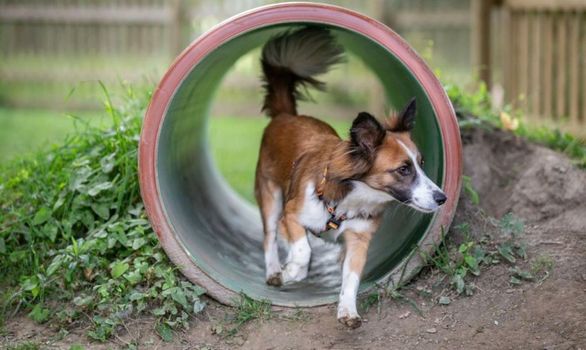 Almfrieden Hotel & Romantikchalet