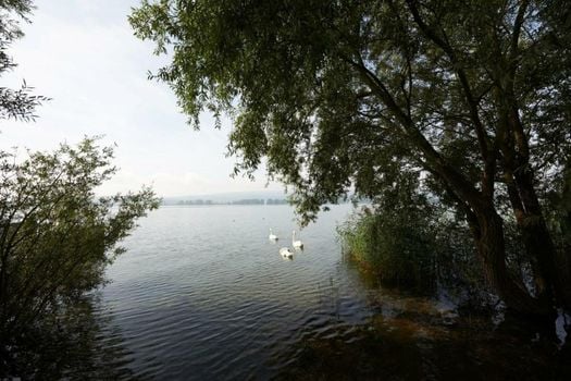 Hotel Bora HotSpaResort