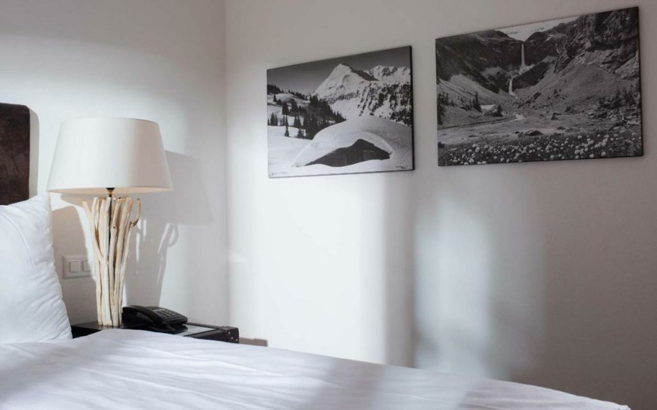 Hotel des Alpes Superieur