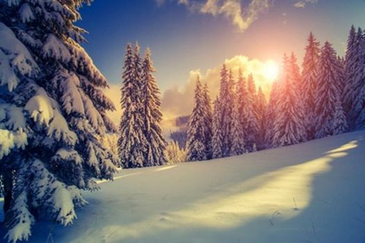 Sackmann Genuss und Spa Resort