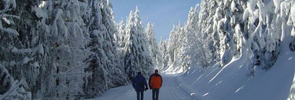 Sackmann Genuss und Spa Resort