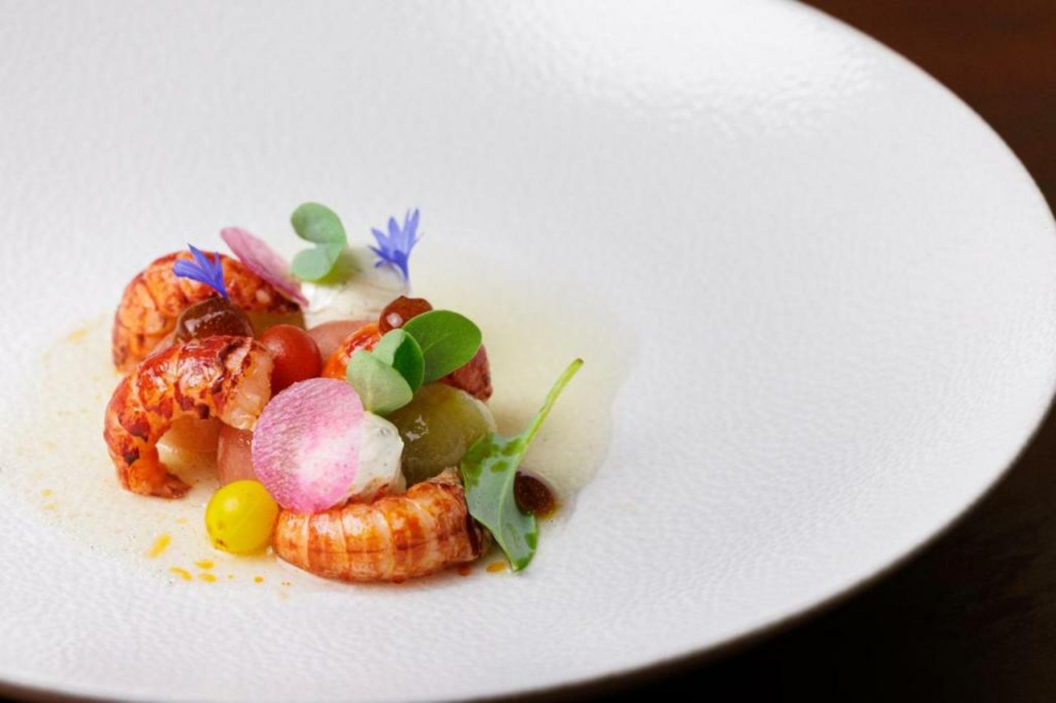 Hotel de Sterrenberg - Adults Only