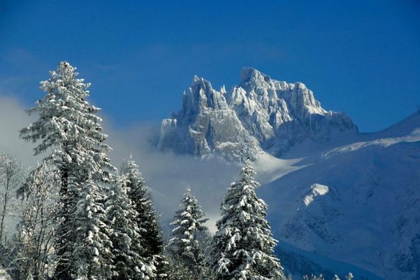 SPANNORT family home with common kitchen and self check-in