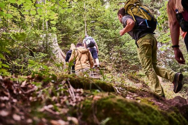 Hotel Kronelamm im Schwarzwald