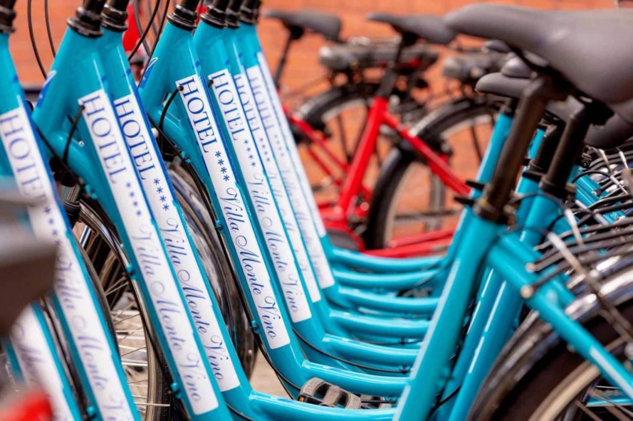 Hotel Villa Monte Vino