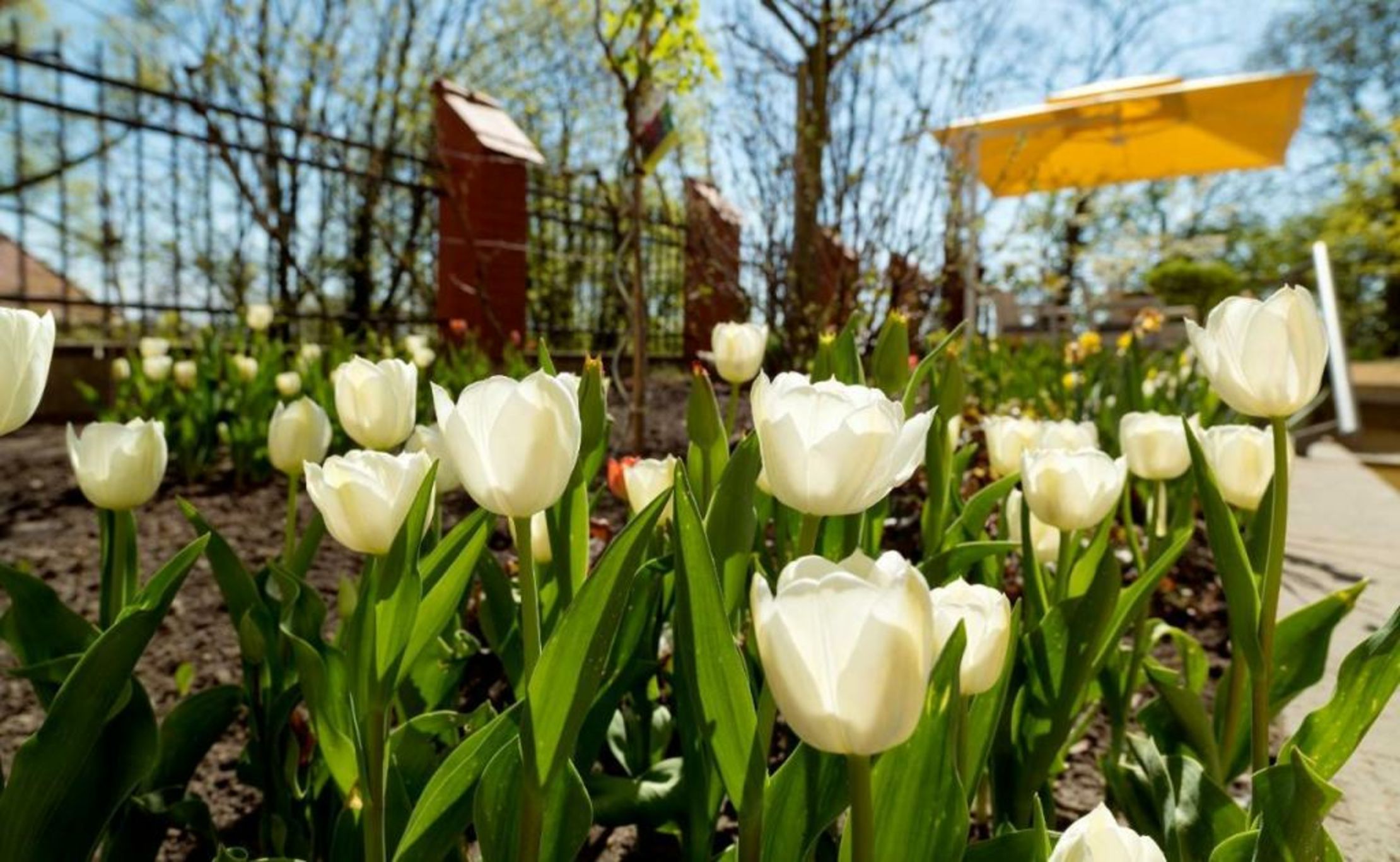 Hotel Villa Monte Vino