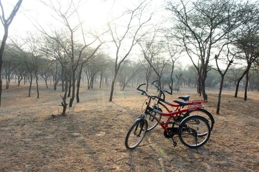 Vivaana Culture Hotel