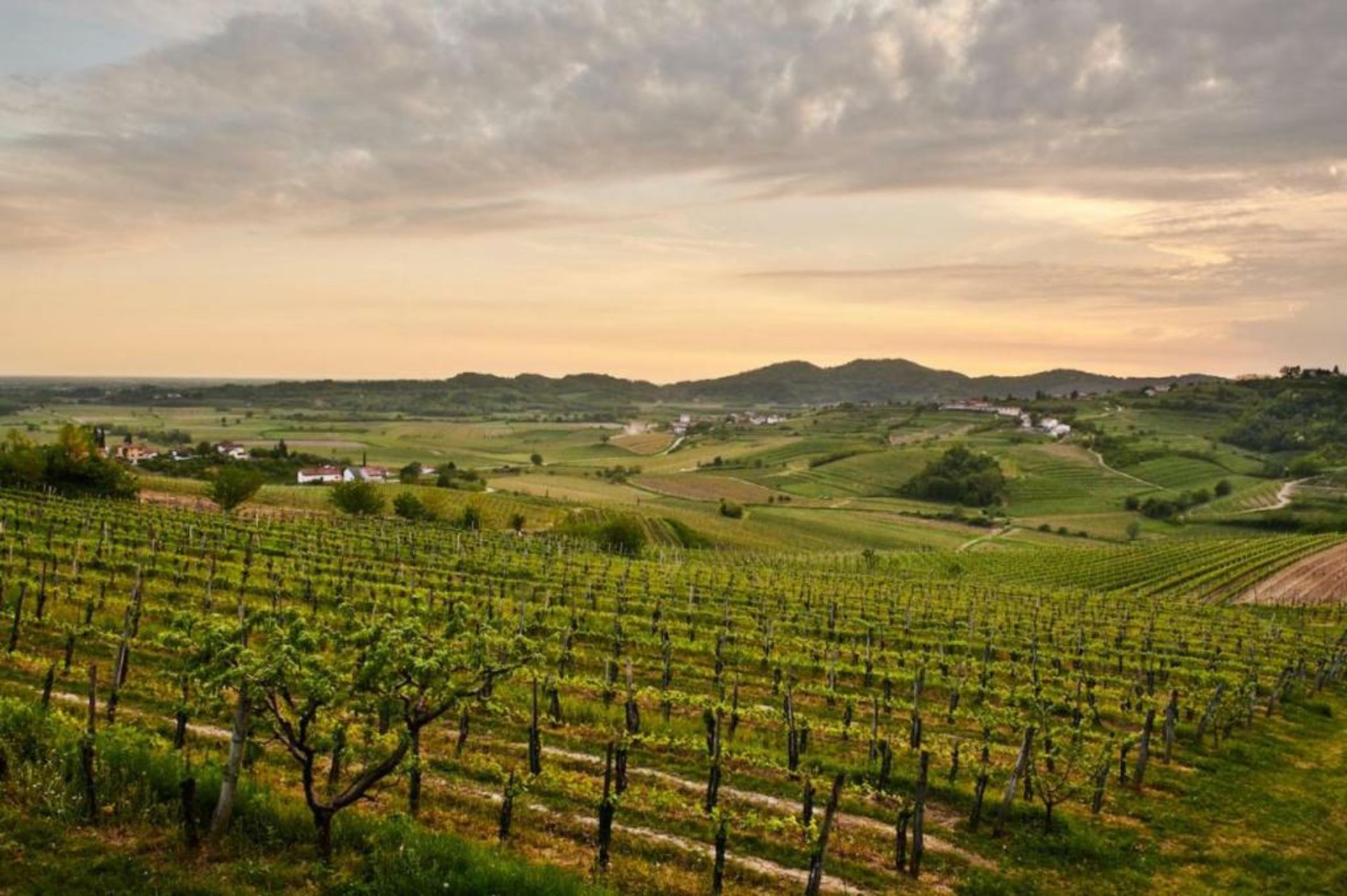 Gredič Heritage Residences