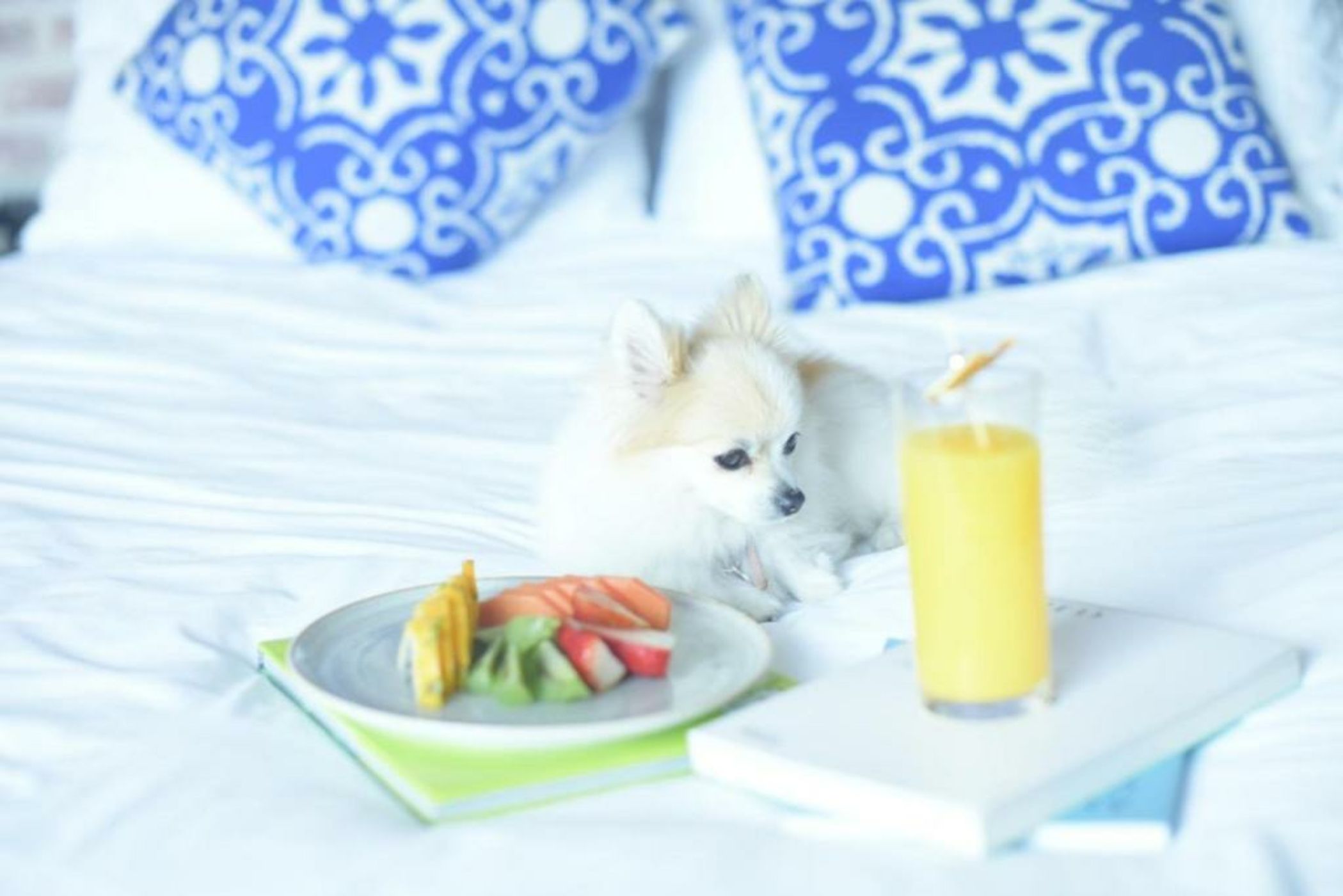 The Artisan D.C. Hotel, Autograph Collection